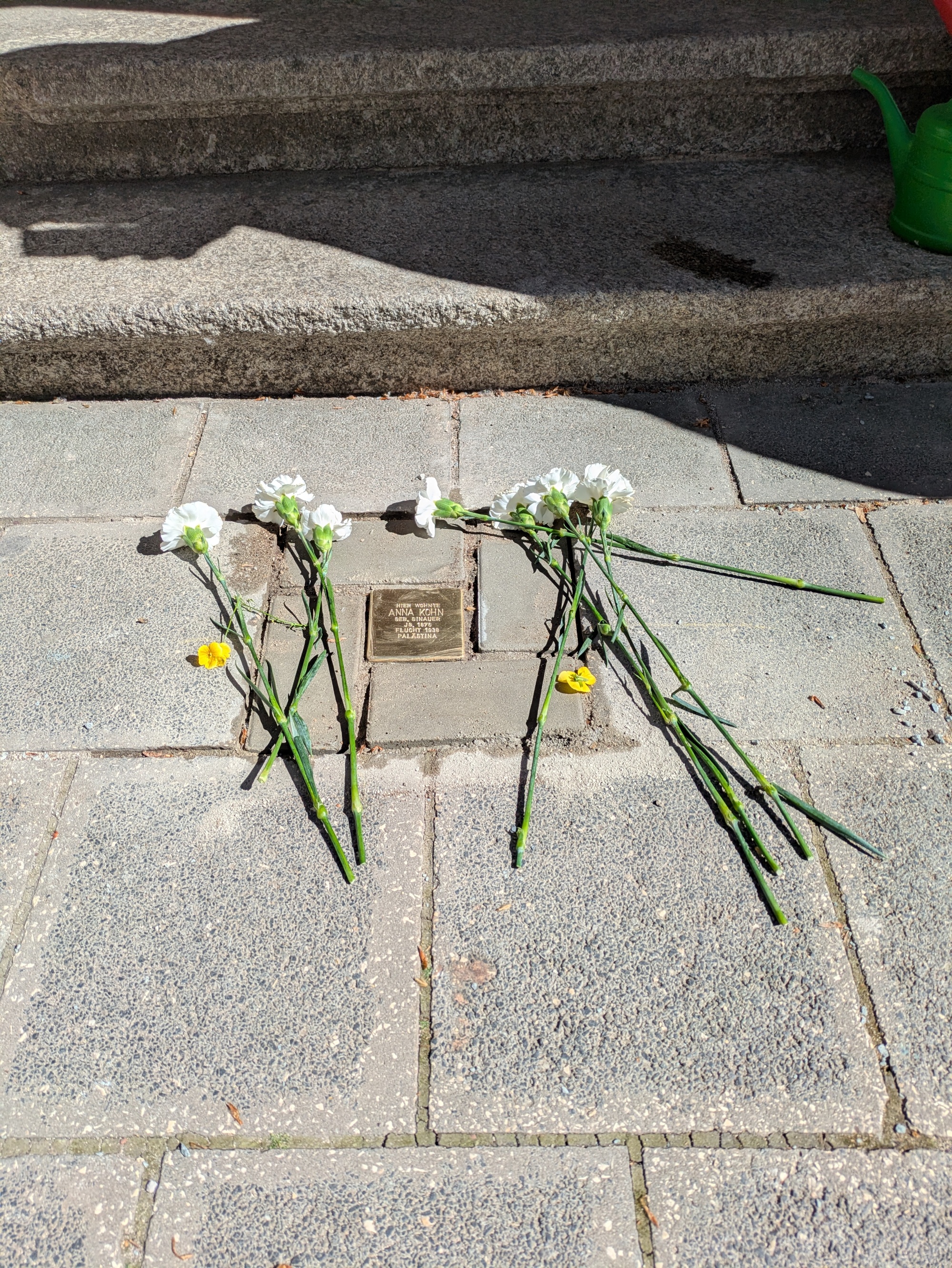 Blumenbild Stolperstein