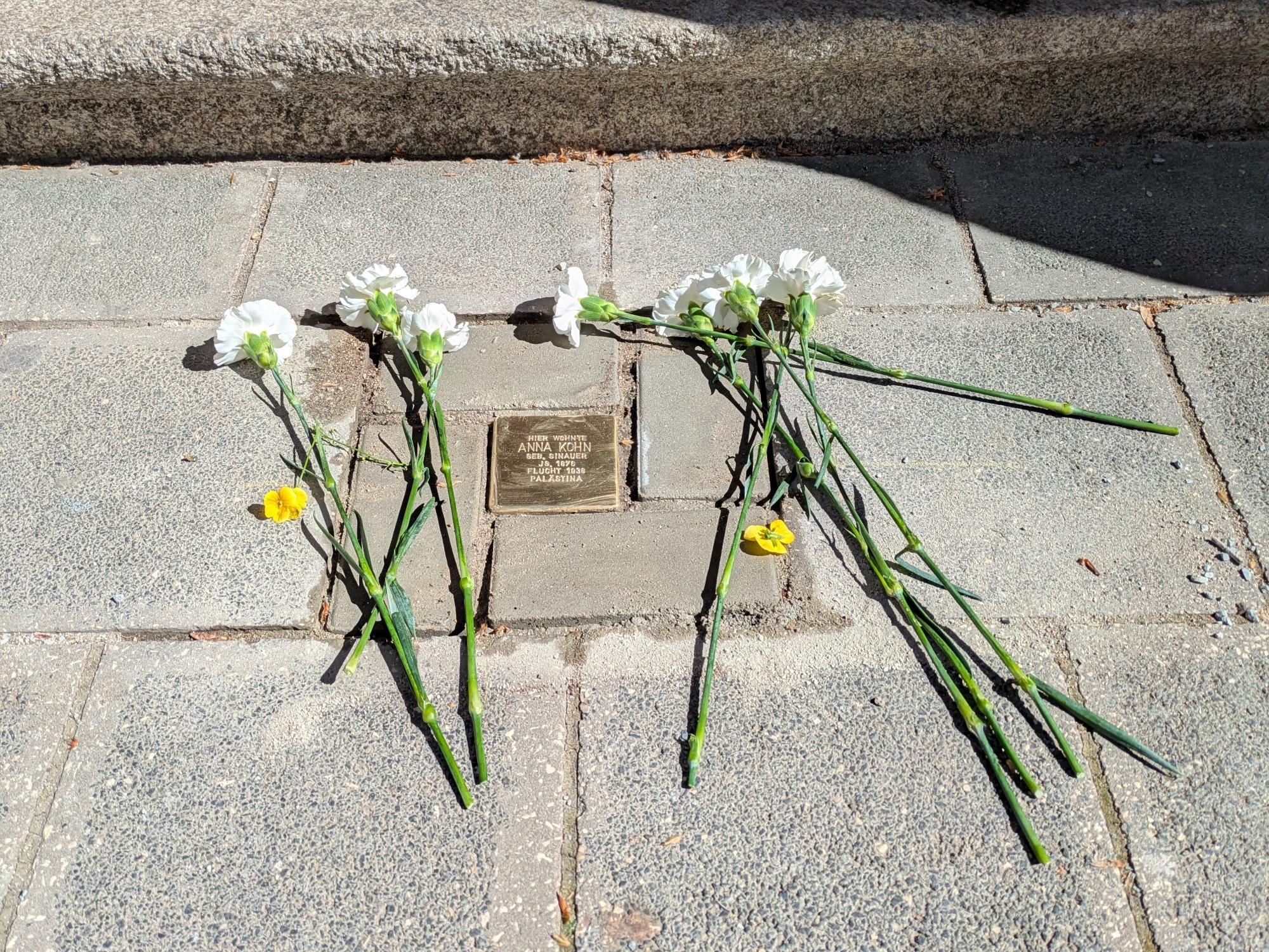 Blumenbild Stolperstein